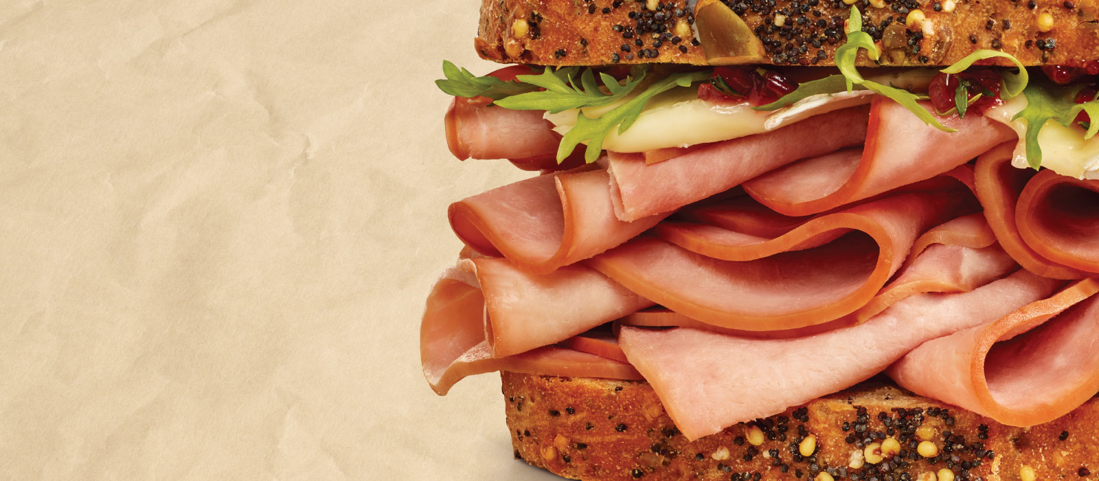 Close up of a ham sandwich