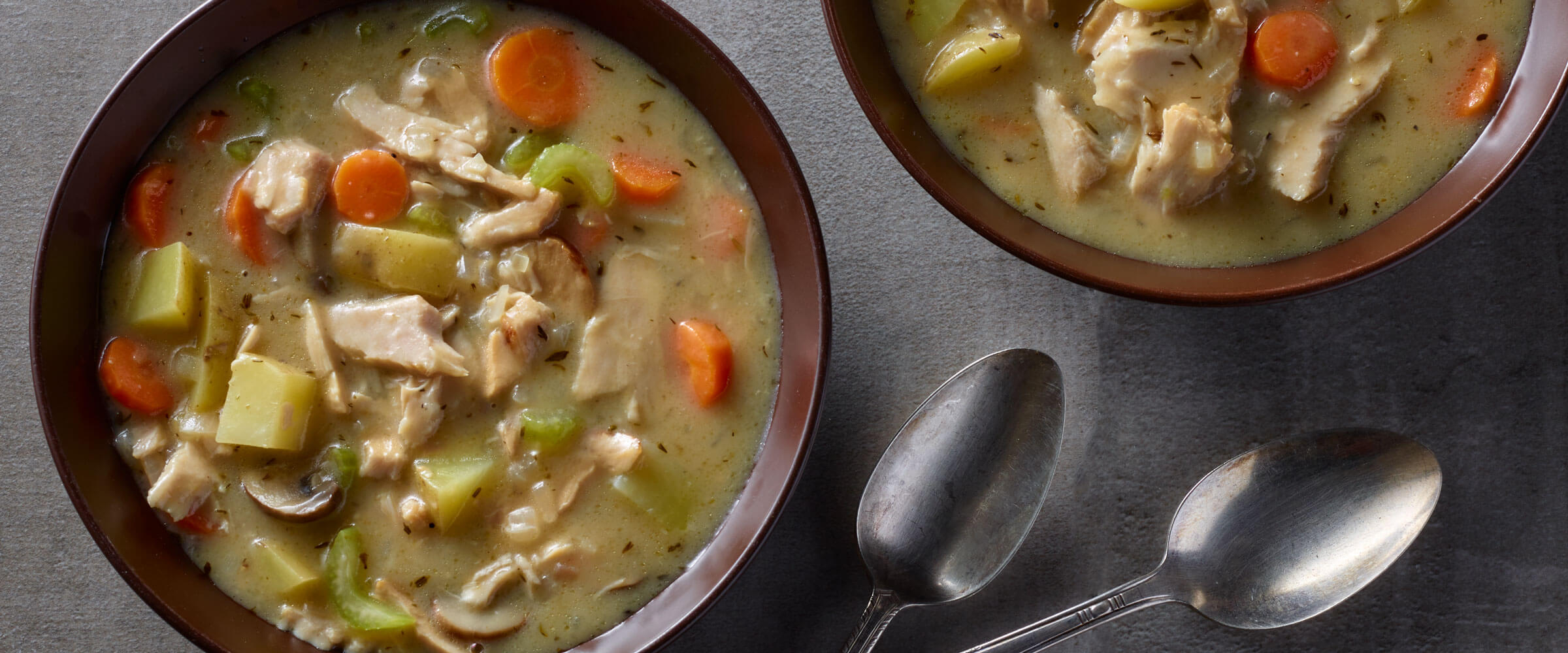 Turkey Stew in two bowls with spoons